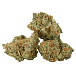 Ness New Arrivals Rainmaker