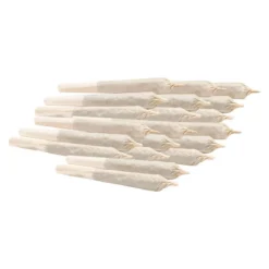 Re-Up Pre-Rolls Sativa PR 20 X 0.5 G