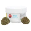 New Arrivals Reef Organic Coastal Kush