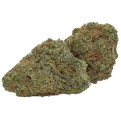 New Arrivals Reef Organic Coastal Kush