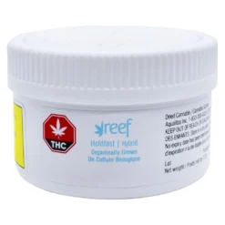 Reef Organic Holdfast