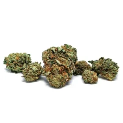 COVE Reflect Reserve New Arrivals