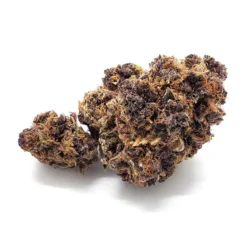 RGB 72 Volt New Arrivals