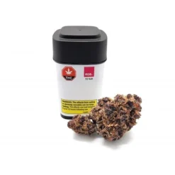 RGB 72 Volt New Arrivals