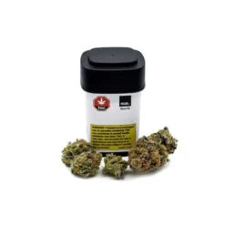 RGB Black-Sero'Q New Arrivals