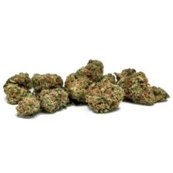 New Arrivals COVE Rise Reserve