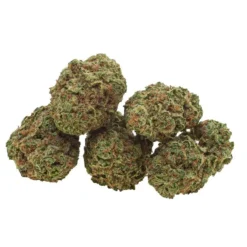 Robinsons Cannabis Lemon Garlic OG New Arrivals