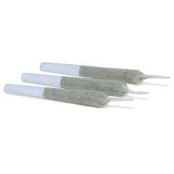 San Rafael '71 Rockstar Cookies PR 3 X 0.5 G Pre-Rolls