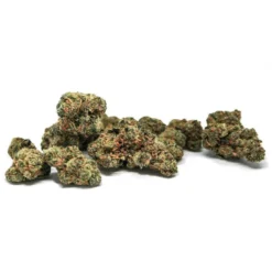 Spinach Rockstar Kush New Arrivals