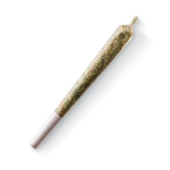Pre-Rolls Spinach Rockstar Kush Pre Roll (1g)