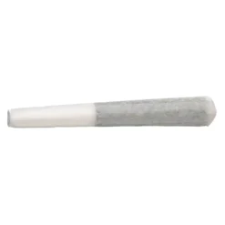 BOLD Root Beer Float PR 3 X 0.5 G Pre-Rolls