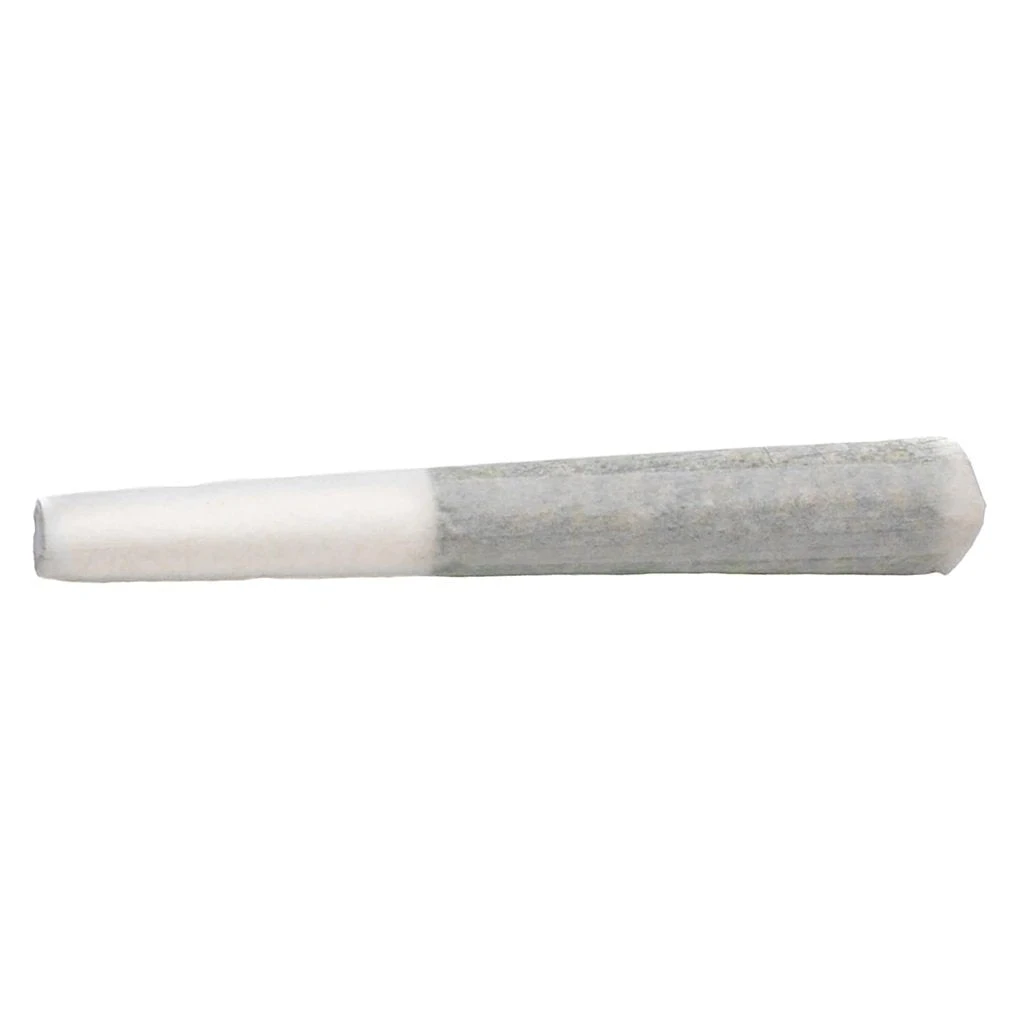 BOLD Root Beer Float PR 3 X 0.5 G Pre-Rolls 4 BOLD Root Beer Float PR 3 X 0.5 G Pre-Rolls