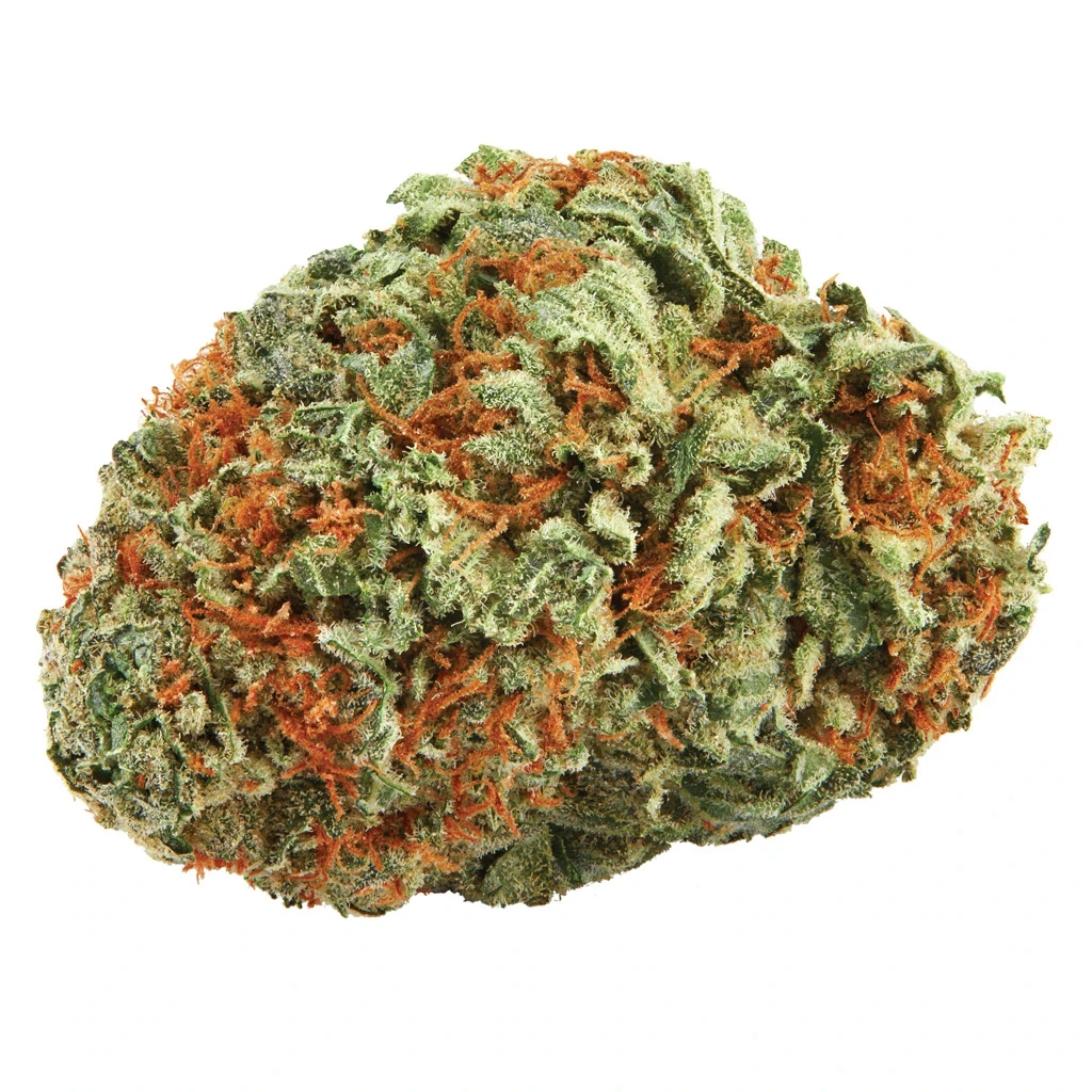 Liiv Route 66 New Arrivals 3 Liiv Route 66 New Arrivals