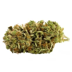 Royal City Cannabis Co RC Orange Hill Special New Arrivals