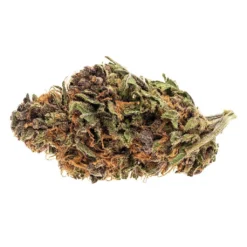 Good Supply Royal Highness New Arrivals