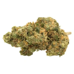 San Rafael '71 Island Sweet Skunk New Arrivals