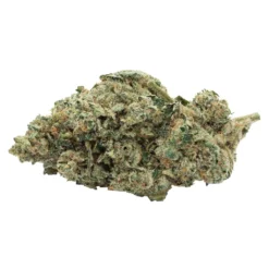 New Arrivals San Rafael '71 Lemon Rocket