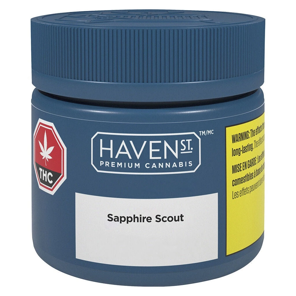 Haven St New Arrivals Sapphire Scout 3 Haven St New Arrivals Sapphire Scout