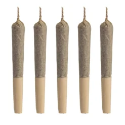 Aurora THC Sativa Aces PR 5 X 0.5 G Pre-Rolls