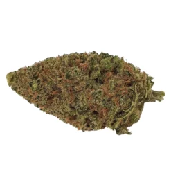 Eve & Co New Arrivals Sativa Blend
