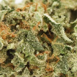 Emerald Health Sativa New Arrivals