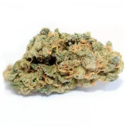 THC Biomed New Arrivals Sativa Landrace