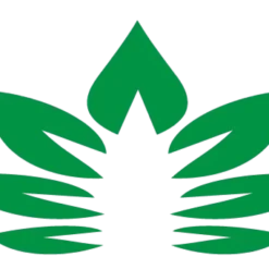 Western Cannabis Sativa PR 3 X 0.5 G