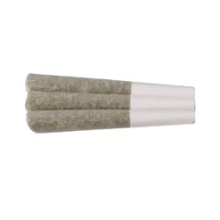 Truro Secret Pre-Rolls 5 Truro Secret Pre-Rolls
