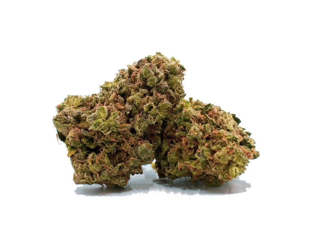 Seleste King Tut 4 Seleste King Tut