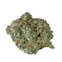 New Arrivals Seleste Purple Aya