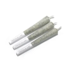 Tantalus Labs BC Sungrown Serratus PR 3 X 0.5 G Pre-Rolls
