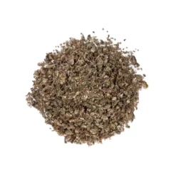 Natural History Sheddred Lettuce New Arrivals