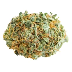 New Arrivals Skosha Lemon Dory