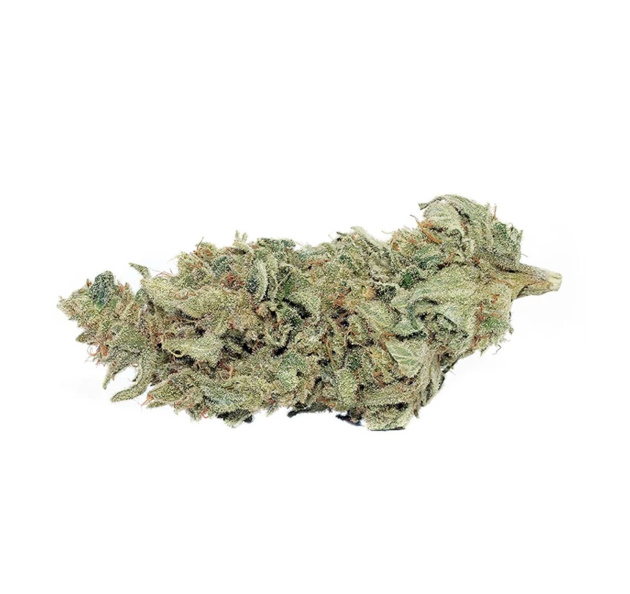 Tantalus Labs Sky Pilot New Arrivals 3 Tantalus Labs Sky Pilot New Arrivals