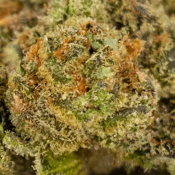 Freedom Cannabis New Arrivals Slurricane