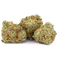 Edison Cannabis Co New Arrivals Sour OG Cheese