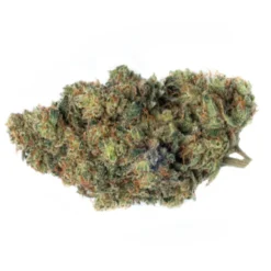 Flowr New Arrivals Sour Sis