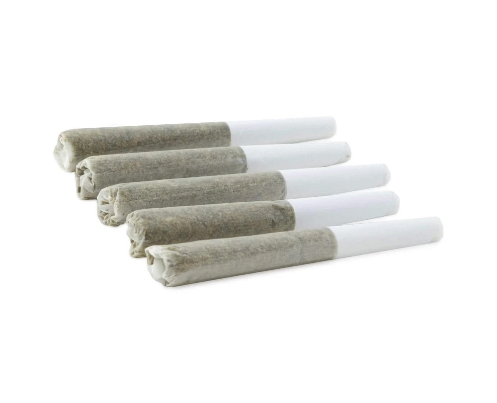 Five Founders Sour Tangie PR 5 X 0.5 G Pre-Rolls 5 Five Founders Sour Tangie PR 5 X 0.5 G Pre-Rolls