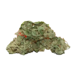 Color Cannabis Space Cake