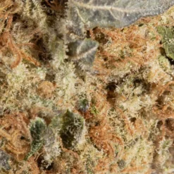 00 Space Weed New Arrivals Space Cookies