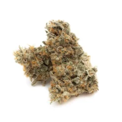 OGEN New Arrivals Space Flight Superstar #11