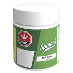 Spinach Blue Dream New Arrivals