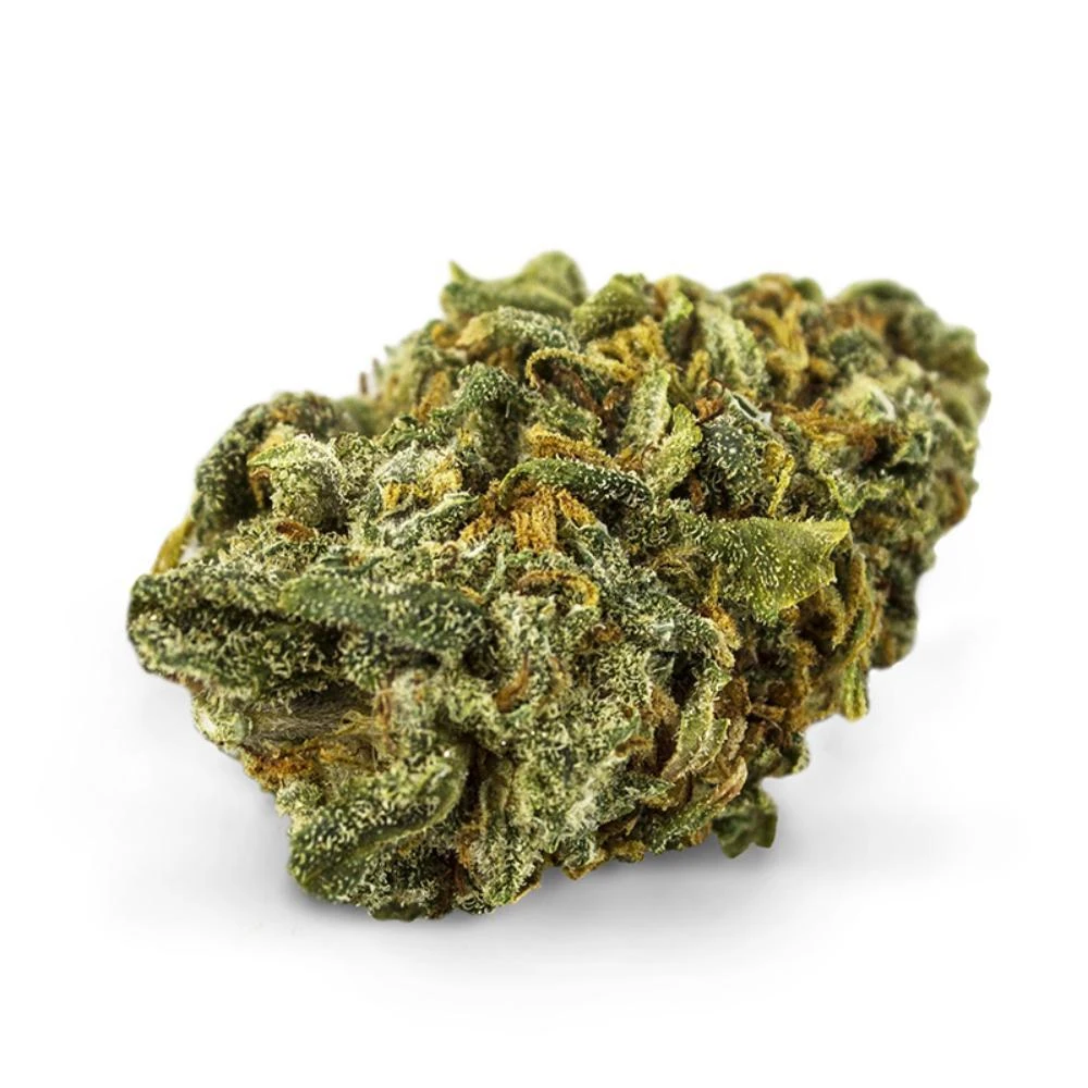 Spinach Dancehall New Arrivals 3 Spinach Dancehall New Arrivals