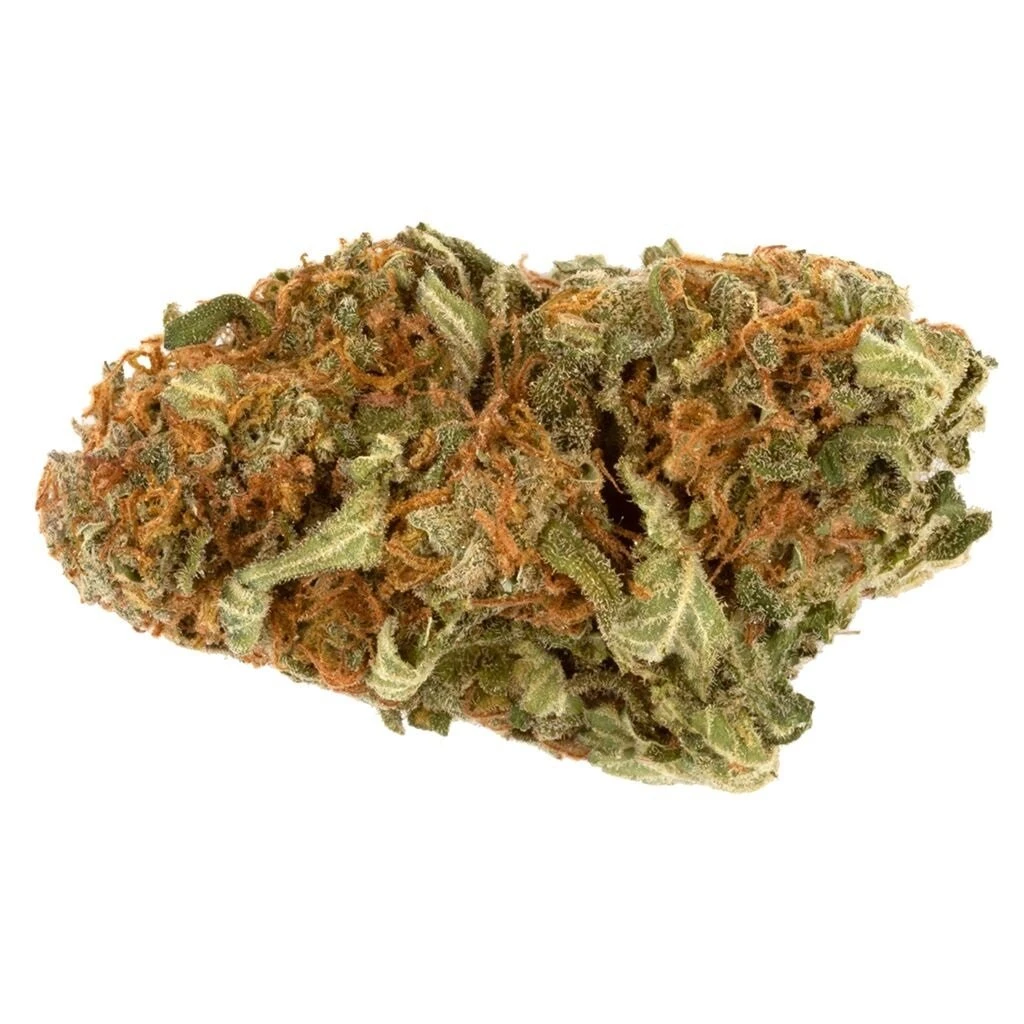 New Arrivals Stash City Sensi Star 3 New Arrivals Stash City Sensi Star