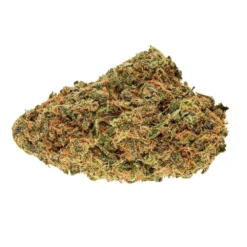 Stash City Wappa New Arrivals