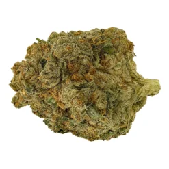 New Arrivals Steel City Green Strawberry Cream