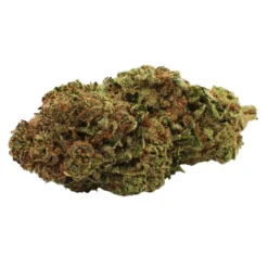 Citizen Stash Stonewall New Arrivals