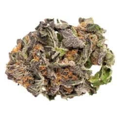 New Arrivals Riff Subway Scientist (Grand Daddy Purps)