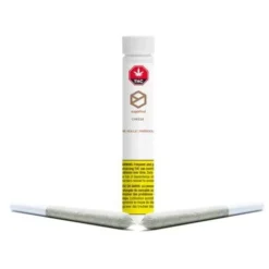 Pre-Rolls Sugarbud Cheese 2 Pack Pre Roll (.5g) 5 Pre-Rolls Sugarbud Cheese 2 Pack Pre Roll (.5g)