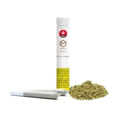 Sugarbud PreNup 2 Pack Pre Roll (.5g)
